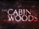 The Cabin In The Woods (2012) full movie download